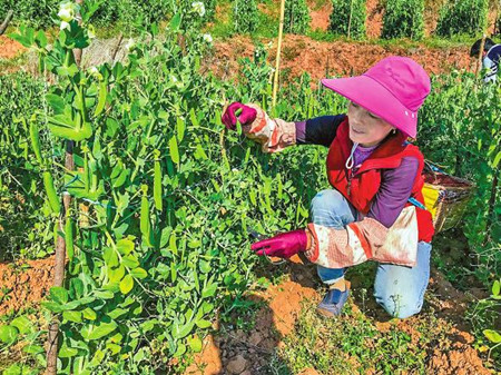 14_副本.jpg 14_副本.jpg