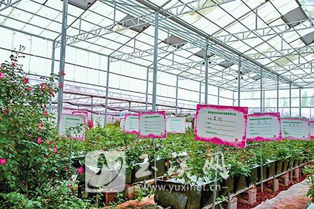 可视花田的销售模式备受消费者青睐