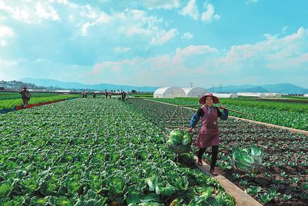 20200618070231980.jpg 20200618070231980.jpg