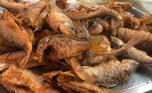秋游绿汁，惊喜远不止稻田摸鱼峡谷骑行5.jpg
